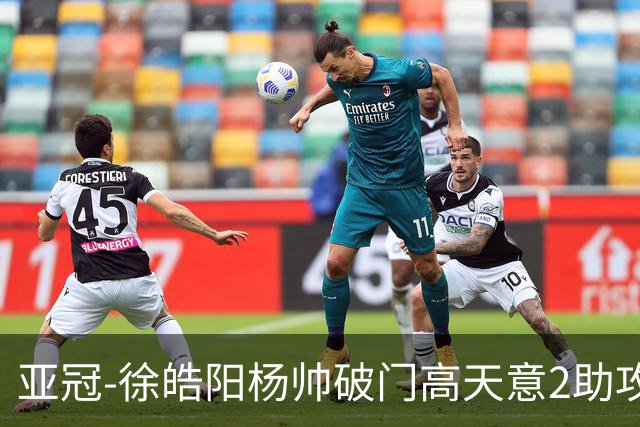 亚冠-徐皓阳杨帅破门高天意2助攻 申花2-1淡滨尼流浪者
